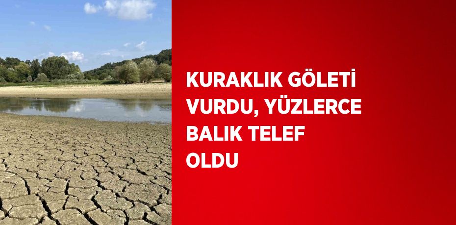 KURAKLIK GÖLETİ VURDU, YÜZLERCE BALIK TELEF OLDU