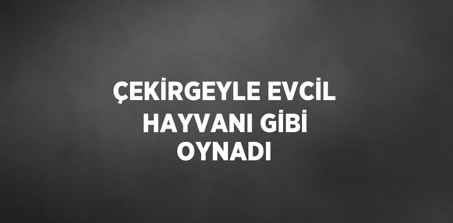 ÇEKİRGEYLE EVCİL HAYVANI GİBİ OYNADI