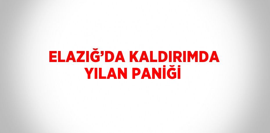 ELAZIĞ’DA KALDIRIMDA YILAN PANİĞİ