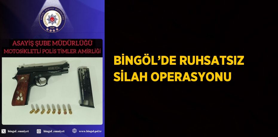 BİNGÖL’DE RUHSATSIZ SİLAH OPERASYONU