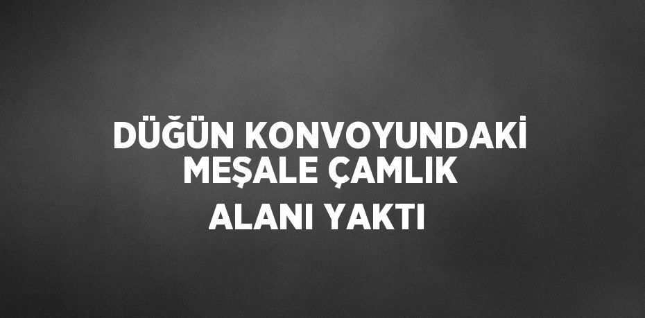 DÜĞÜN KONVOYUNDAKİ MEŞALE ÇAMLIK ALANI YAKTI