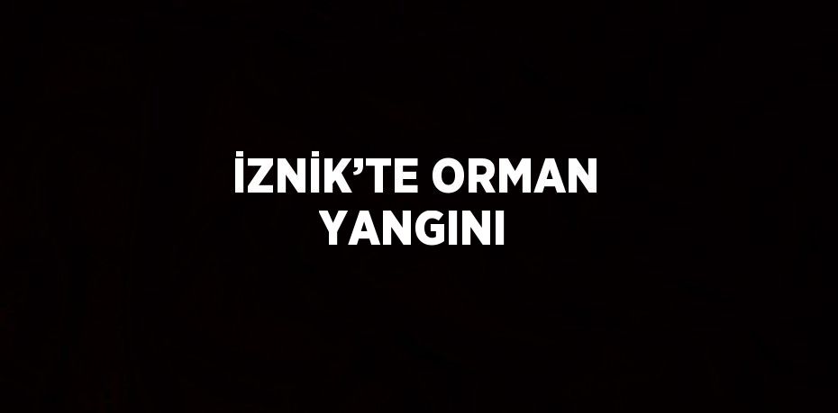 İZNİK’TE ORMAN YANGINI