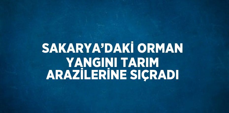 SAKARYA’DAKİ ORMAN YANGINI TARIM ARAZİLERİNE SIÇRADI