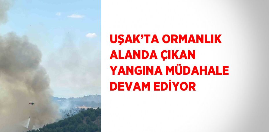 UŞAK’TA ORMANLIK ALANDA ÇIKAN YANGINA MÜDAHALE DEVAM EDİYOR