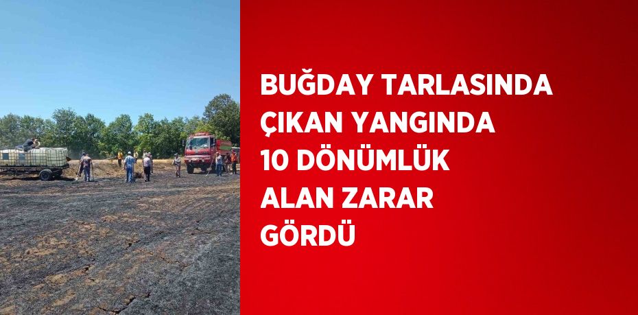 BUĞDAY TARLASINDA ÇIKAN YANGINDA 10 DÖNÜMLÜK ALAN ZARAR GÖRDÜ