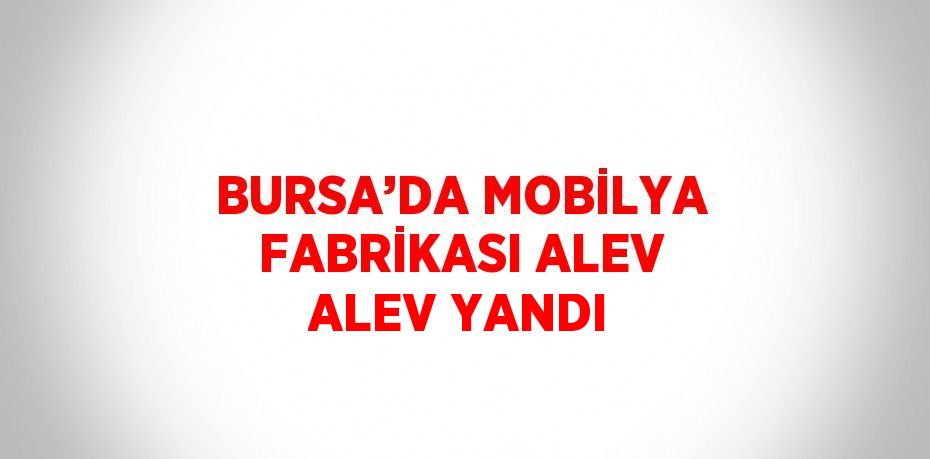 BURSA’DA MOBİLYA FABRİKASI ALEV ALEV YANDI