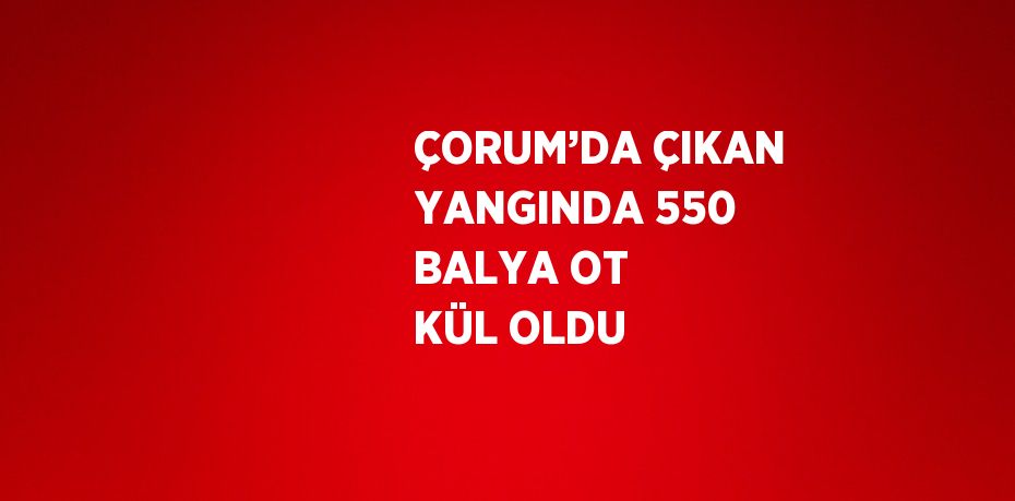 ÇORUM’DA ÇIKAN YANGINDA 550 BALYA OT KÜL OLDU