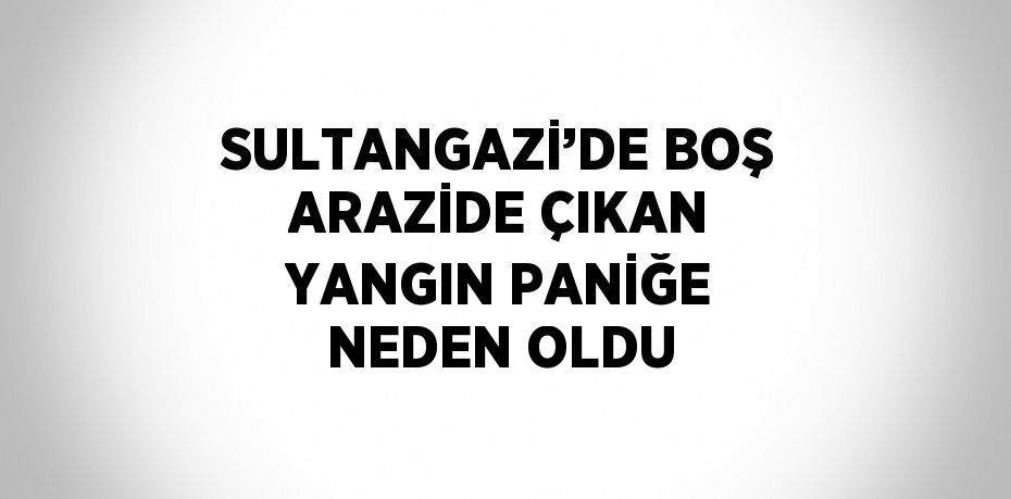 SULTANGAZİ’DE BOŞ ARAZİDE ÇIKAN YANGIN PANİĞE NEDEN OLDU