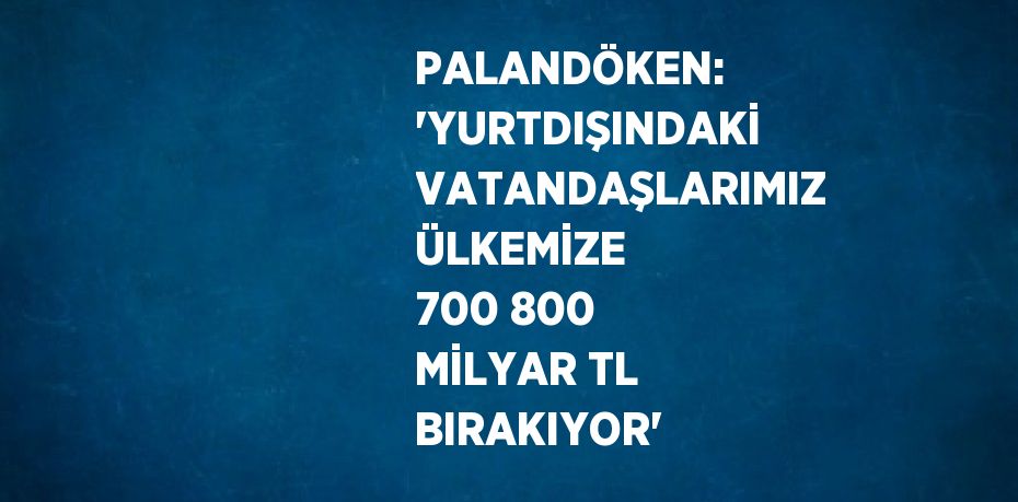 PALANDÖKEN: 'YURTDIŞINDAKİ VATANDAŞLARIMIZ ÜLKEMİZE 700 800 MİLYAR TL BIRAKIYOR'