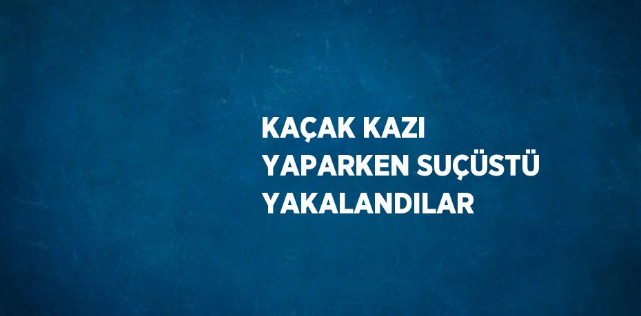 KAÇAK KAZI YAPARKEN SUÇÜSTÜ YAKALANDILAR