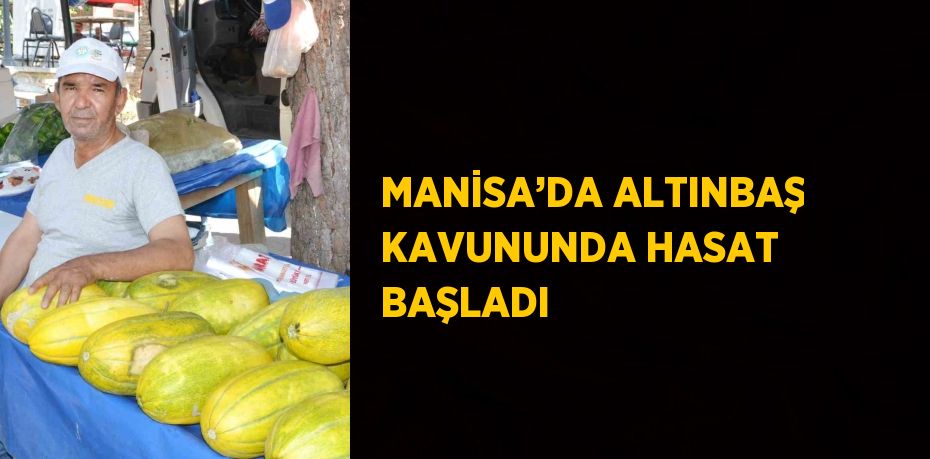 MANİSA’DA ALTINBAŞ KAVUNUNDA HASAT BAŞLADI