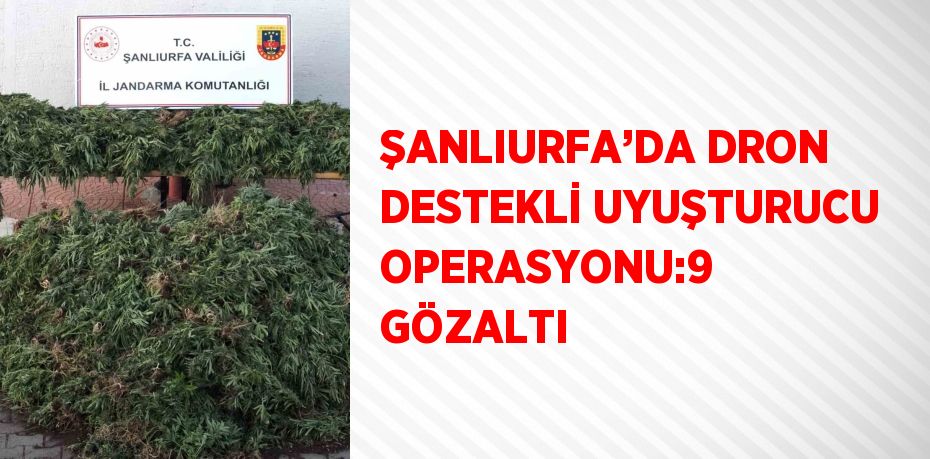 ŞANLIURFA’DA DRON DESTEKLİ UYUŞTURUCU OPERASYONU:9 GÖZALTI