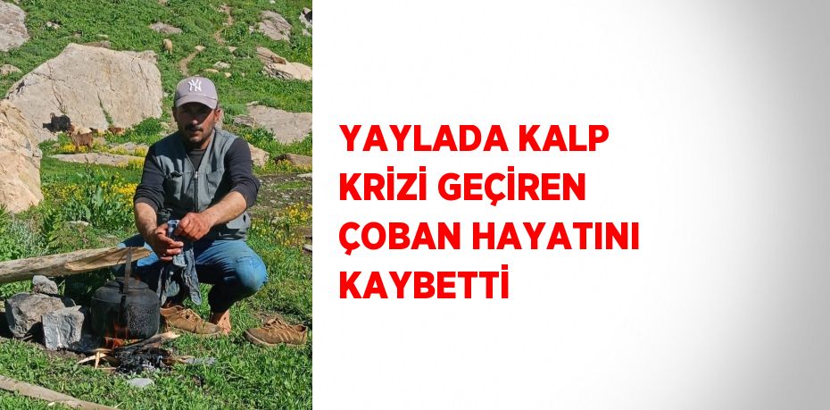 YAYLADA KALP KRİZİ GEÇİREN ÇOBAN HAYATINI KAYBETTİ