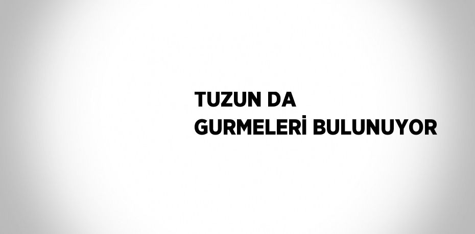 TUZUN DA GURMELERİ BULUNUYOR