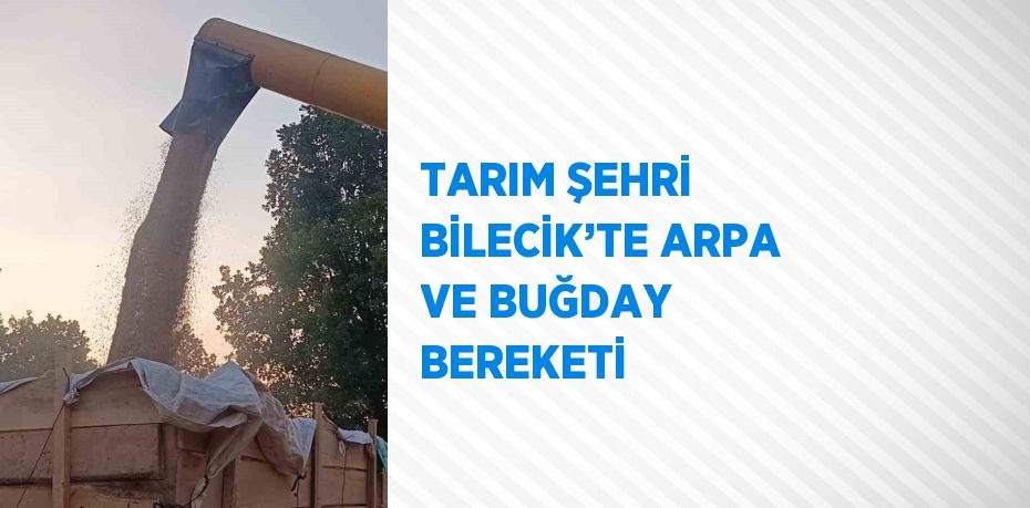 TARIM ŞEHRİ BİLECİK’TE ARPA VE BUĞDAY BEREKETİ