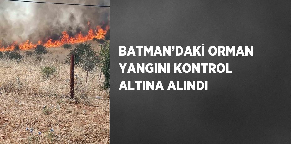 BATMAN’DAKİ ORMAN YANGINI KONTROL ALTINA ALINDI