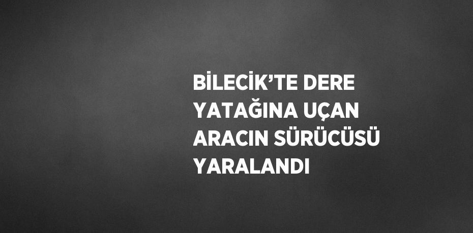 BİLECİK’TE DERE YATAĞINA UÇAN ARACIN SÜRÜCÜSÜ YARALANDI