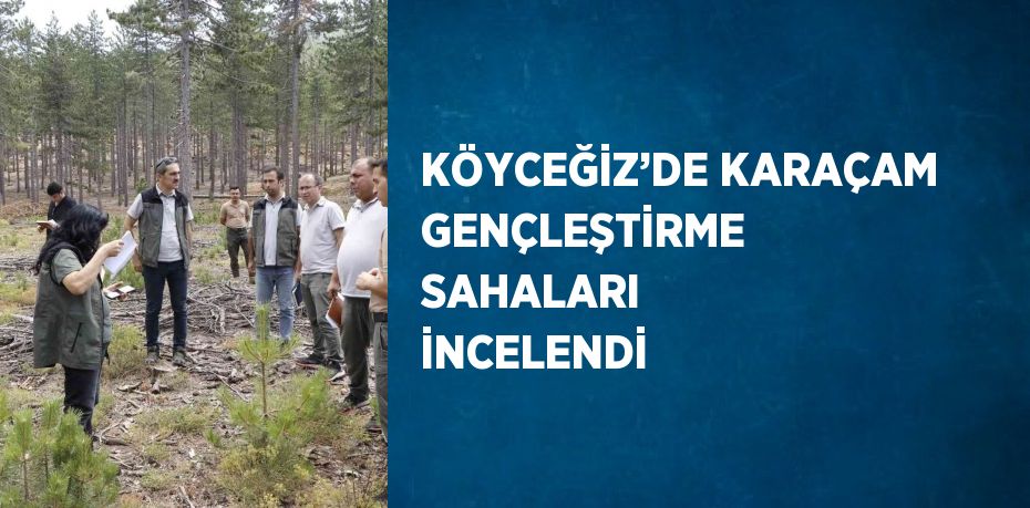 KÖYCEĞİZ’DE KARAÇAM GENÇLEŞTİRME SAHALARI İNCELENDİ