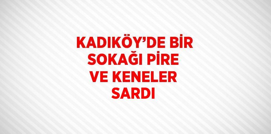 KADIKÖY’DE BİR SOKAĞI PİRE VE KENELER SARDI