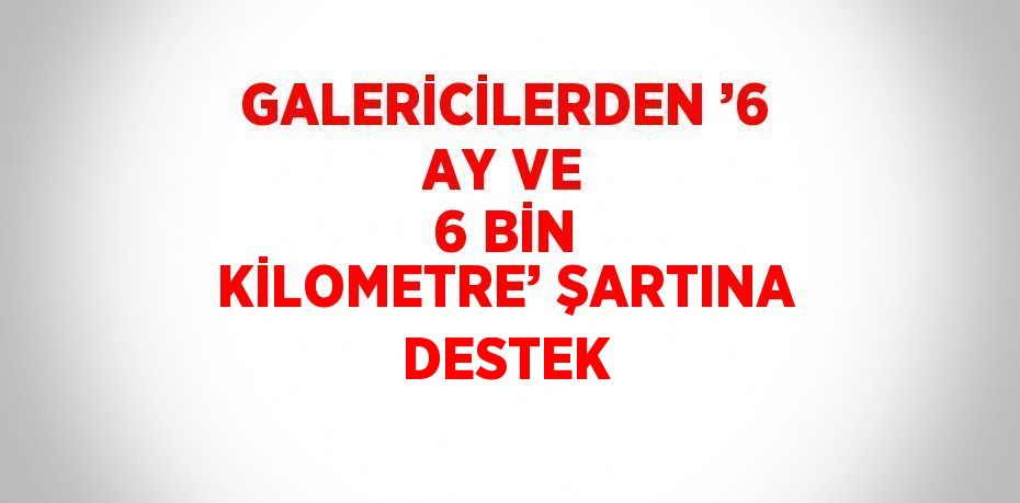 GALERİCİLERDEN ’6 AY VE 6 BİN KİLOMETRE’ ŞARTINA DESTEK