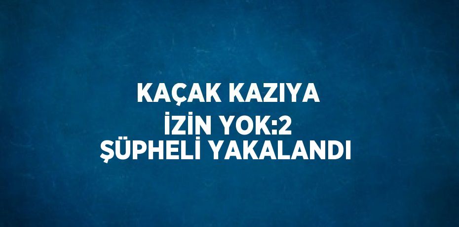 KAÇAK KAZIYA İZİN YOK:2 ŞÜPHELİ YAKALANDI