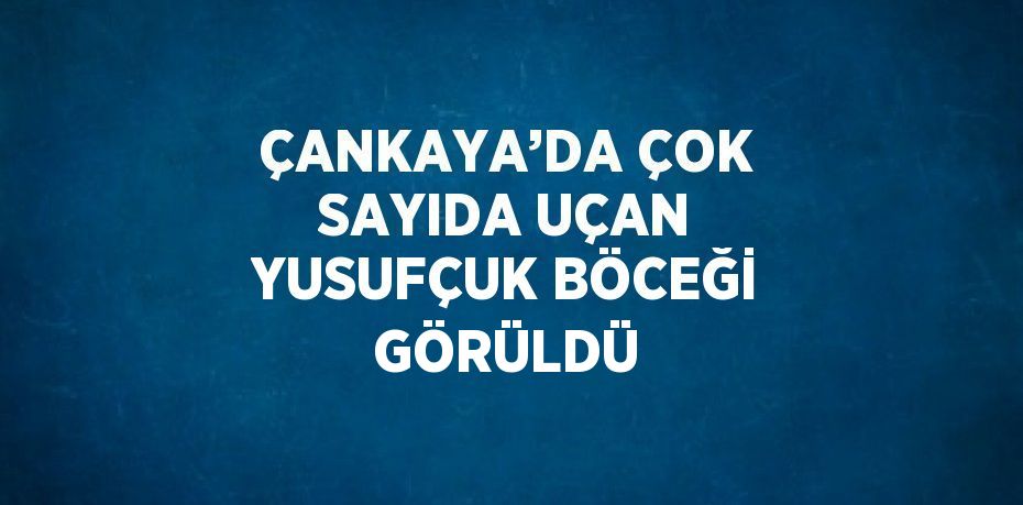 ÇANKAYA’DA ÇOK SAYIDA UÇAN YUSUFÇUK BÖCEĞİ GÖRÜLDÜ