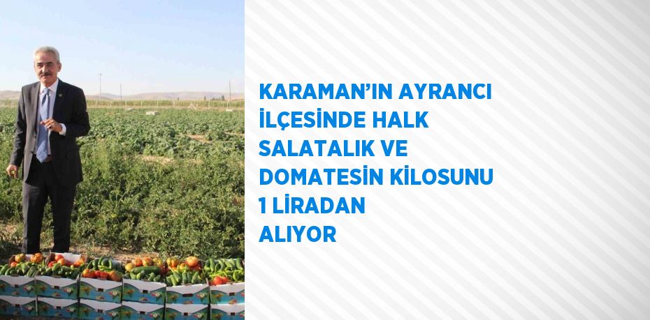 KARAMAN’IN AYRANCI İLÇESİNDE HALK SALATALIK VE DOMATESİN KİLOSUNU 1 LİRADAN ALIYOR