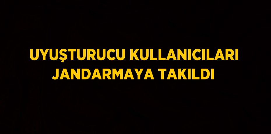 UYUŞTURUCU KULLANICILARI JANDARMAYA TAKILDI