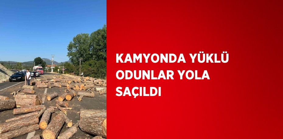 KAMYONDA YÜKLÜ ODUNLAR YOLA SAÇILDI