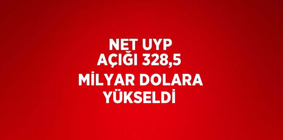 NET UYP AÇIĞI 328,5 MİLYAR DOLARA YÜKSELDİ