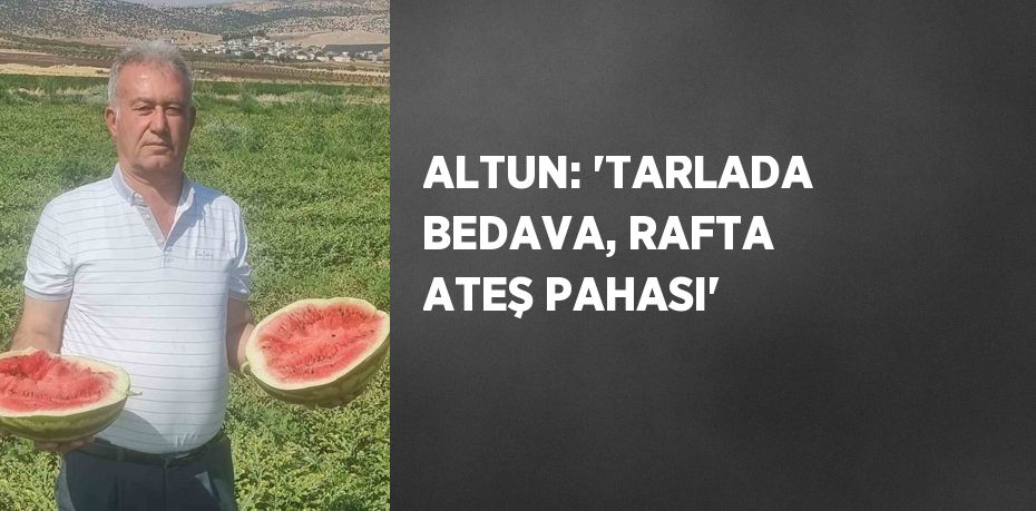 ALTUN: 'TARLADA BEDAVA, RAFTA ATEŞ PAHASI'