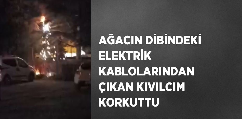 AĞACIN DİBİNDEKİ ELEKTRİK KABLOLARINDAN ÇIKAN KIVILCIM KORKUTTU