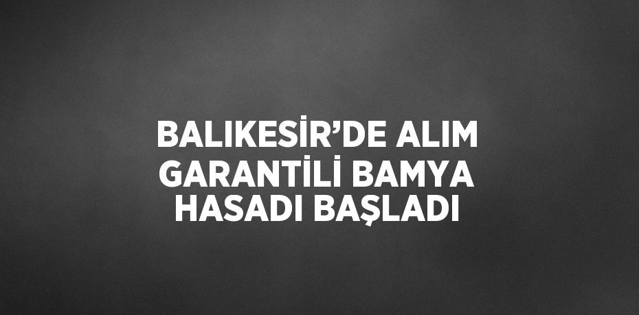 BALIKESİR’DE ALIM GARANTİLİ BAMYA HASADI BAŞLADI