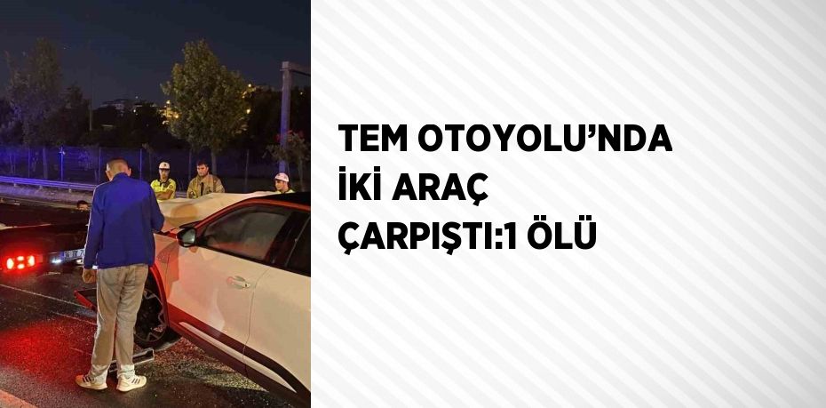 TEM OTOYOLU’NDA İKİ ARAÇ ÇARPIŞTI:1 ÖLÜ