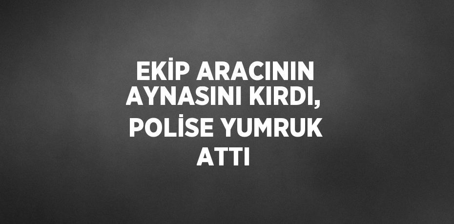 EKİP ARACININ AYNASINI KIRDI, POLİSE YUMRUK ATTI