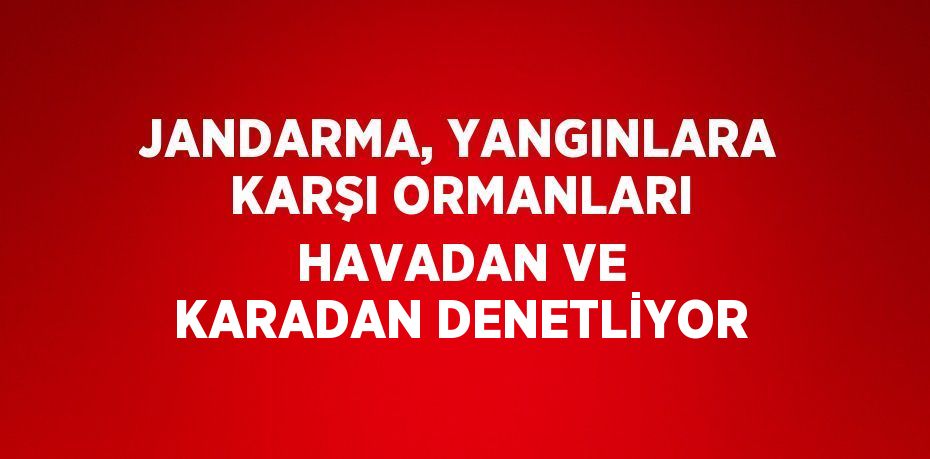 JANDARMA, YANGINLARA KARŞI ORMANLARI HAVADAN VE KARADAN DENETLİYOR