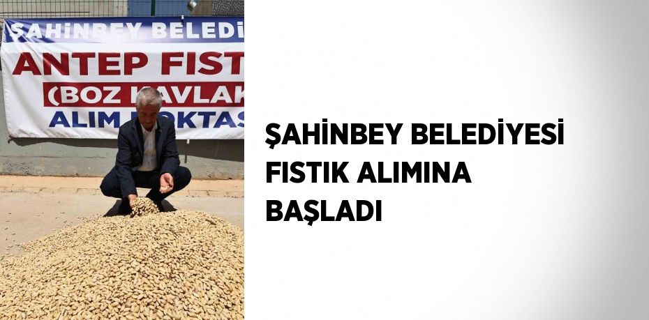 ŞAHİNBEY BELEDİYESİ FISTIK ALIMINA BAŞLADI