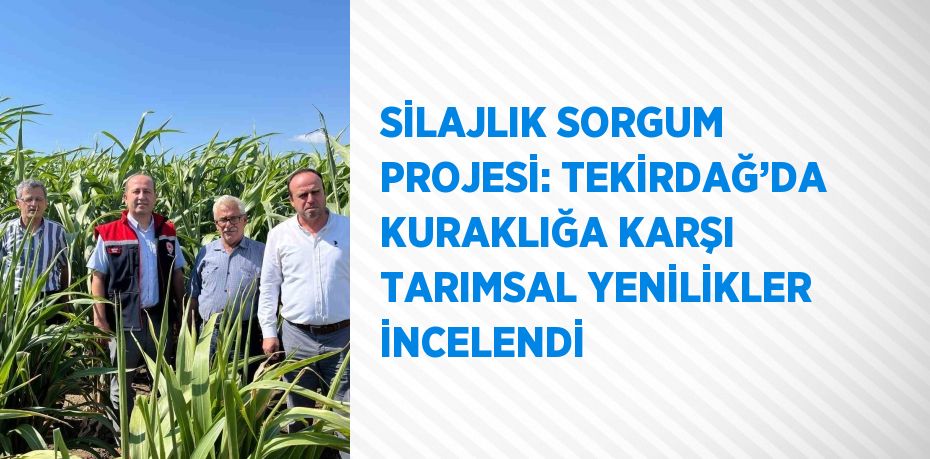 SİLAJLIK SORGUM PROJESİ: TEKİRDAĞ’DA KURAKLIĞA KARŞI TARIMSAL YENİLİKLER İNCELENDİ