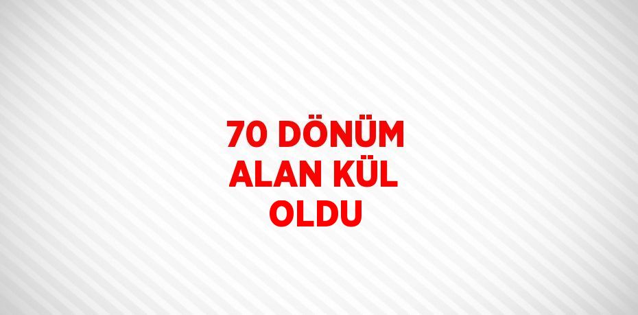 70 DÖNÜM ALAN KÜL OLDU