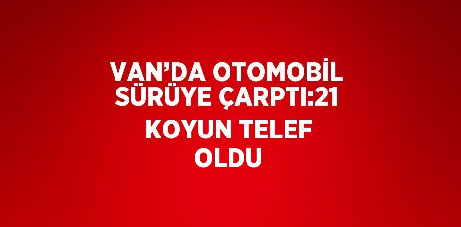 VAN’DA OTOMOBİL SÜRÜYE ÇARPTI:21 KOYUN TELEF OLDU