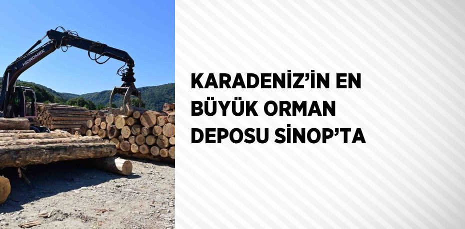 KARADENİZ’İN EN BÜYÜK ORMAN DEPOSU SİNOP’TA