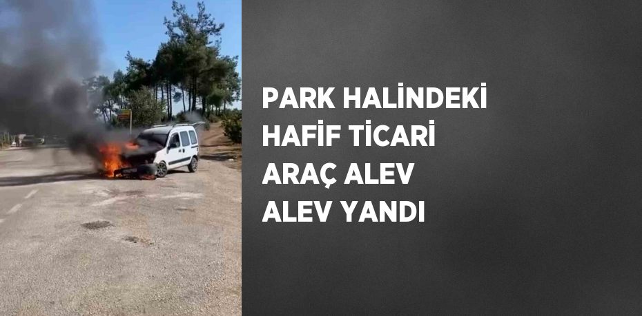 PARK HALİNDEKİ HAFİF TİCARİ ARAÇ ALEV ALEV YANDI