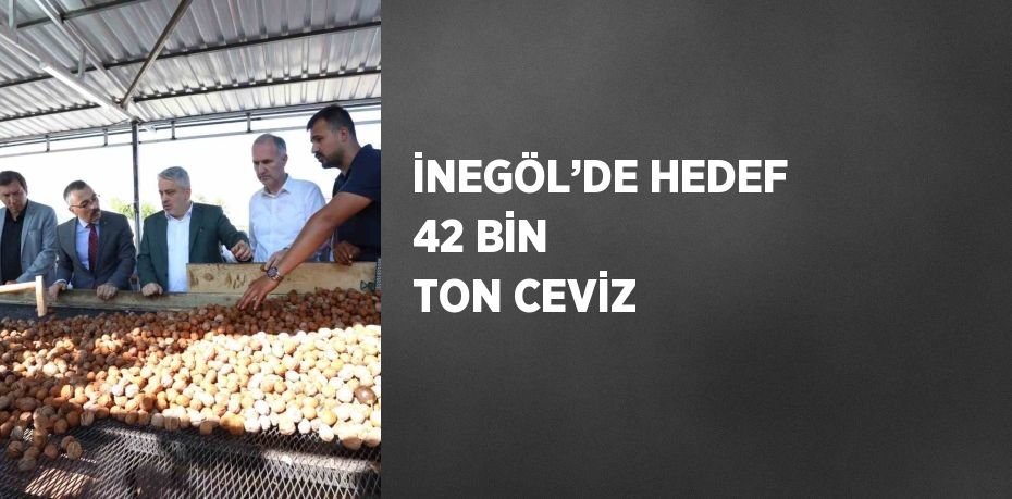 İNEGÖL’DE HEDEF 42 BİN TON CEVİZ