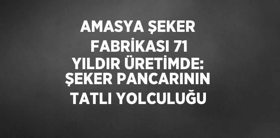 AMASYA ŞEKER FABRİKASI 71 YILDIR ÜRETİMDE: ŞEKER PANCARININ TATLI YOLCULUĞU