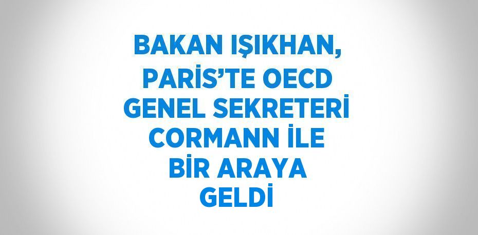 BAKAN IŞIKHAN, PARİS’TE OECD GENEL SEKRETERİ CORMANN İLE BİR ARAYA GELDİ