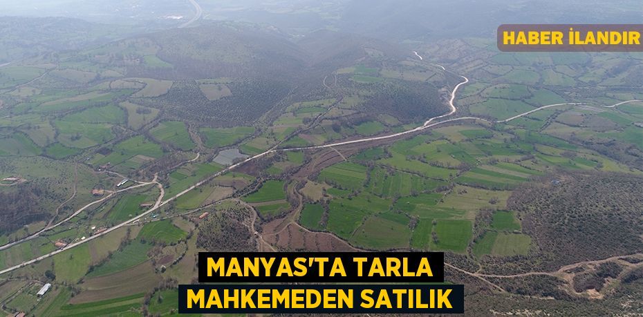 Manyas'ta tarla mahkemeden satılık