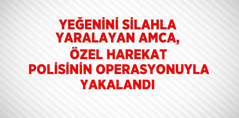 YEĞENİNİ SİLAHLA YARALAYAN AMCA, ÖZEL HAREKAT POLİSİNİN OPERASYONUYLA YAKALANDI