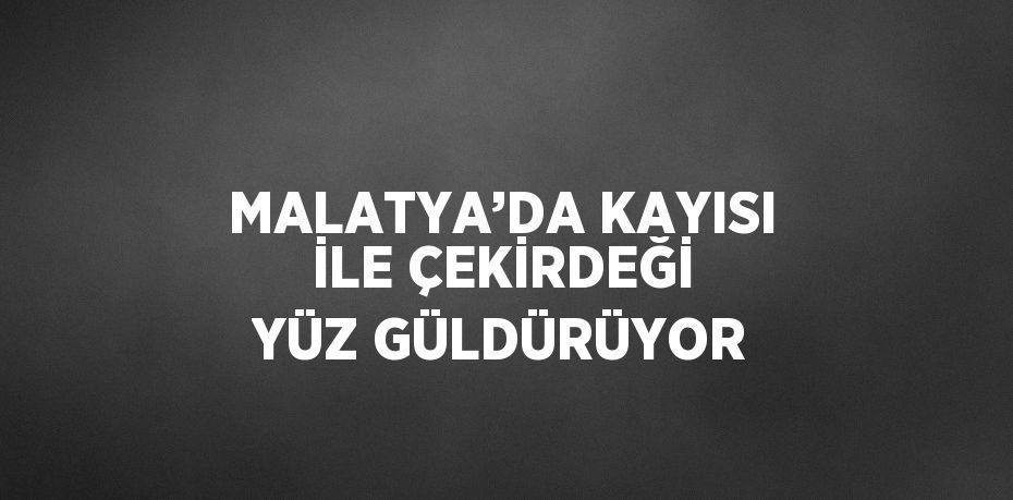 MALATYA’DA KAYISI İLE ÇEKİRDEĞİ YÜZ GÜLDÜRÜYOR