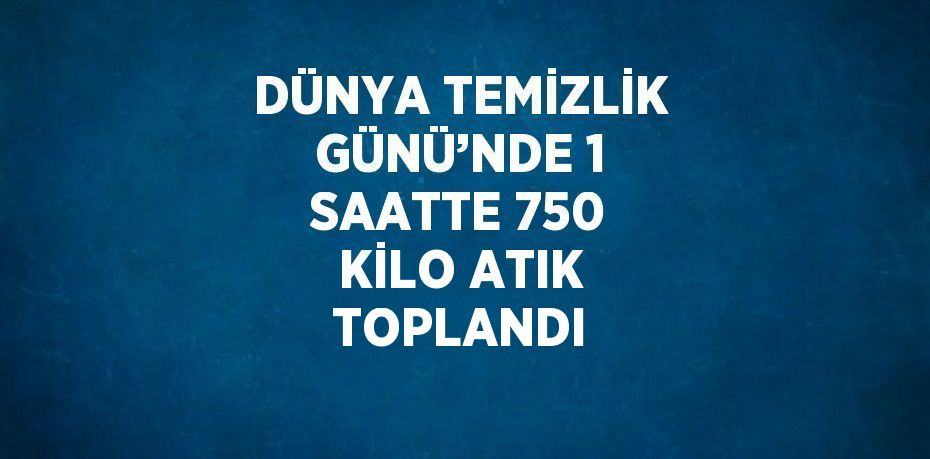 DÜNYA TEMİZLİK GÜNÜ’NDE 1 SAATTE 750 KİLO ATIK TOPLANDI