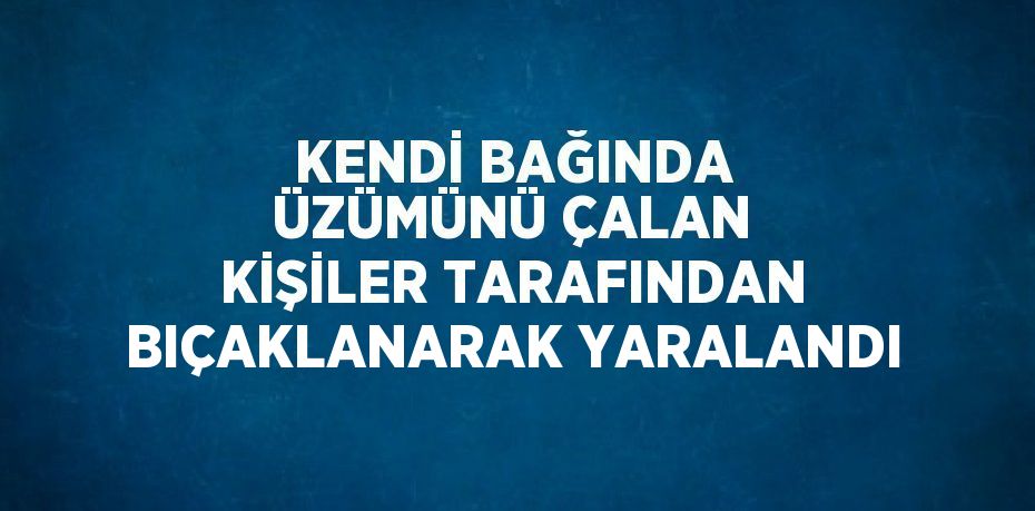 KENDİ BAĞINDA ÜZÜMÜNÜ ÇALAN KİŞİLER TARAFINDAN BIÇAKLANARAK YARALANDI